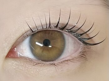 ローラン(LORAN)/まつげパーマ