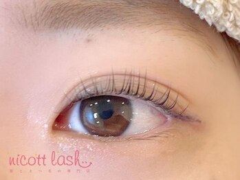 ニコットラッシュ 神戸マルイ店(nicott lash)/まつげパーマ/パリジェンヌ/三宮