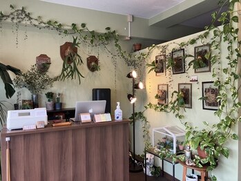 アイリー(Irie)/院内の様子