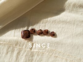 ■パラジェル■special monthly