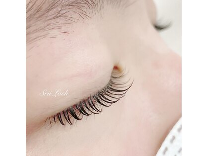 シリーラッシュ 自由が丘南口の写真