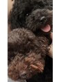 リラ 水口店(Lila) 愛犬だいすきです!!