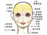 【究極小顔】造顔マッサージ&特殊照射機器&ヒト乳歯幹細胞導入ケア