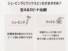 ハリウッドブロウリフト ワクシー 青山店(HOLLYWOOD BROW LIFT WAXYYY.)/生えるスピード比較！！