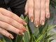 ルアネイル(Lua Nail)の写真