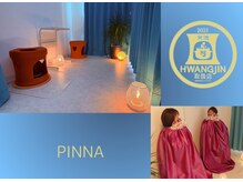 ピンナ(PINNA)