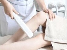 スターチス(Statice)