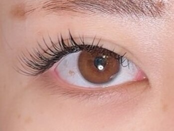 バンビズルーム(Bambi's Room)/フラットラッシュ