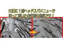 大切な頭皮を診断/改善しませんか？ヘッドマイスターが在籍中!