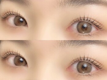 シュクレ 勝川店(shucre)の写真/ご希望の仕上がりイメージを叶えるまつげパーマ☆カールデザイン☆立ち上げストレート☆カールのモチも◎