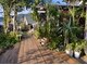 アロハス フォーアールサロン 糸島(ALOHAS 4Rsalon)の写真