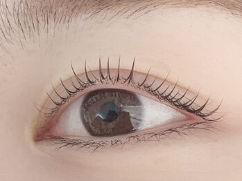 キャリコ(calico)/