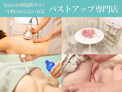 アムール シェリ(Amour Cheri)の写真
