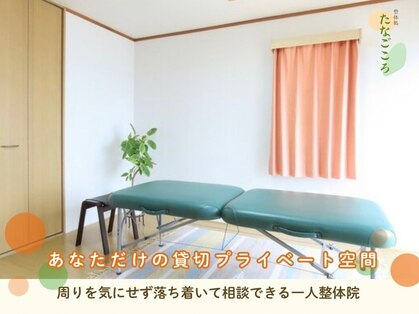 たなごころの写真