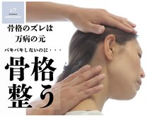 ノーマルボディ