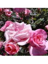 マニフィーク&nbsp;大橋 