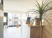 ルミエール パークサイド(L’MIERE parkside)/日の当たる明るい店内