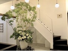 エマクラン(emmaclan)