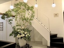 エマクラン(emmaclan)