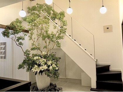 エマクラン(emmaclan)の写真