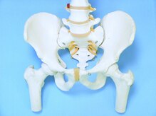 新荒井整体院/整体され隊コース　¥4000