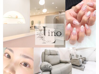 リノ(Lino)の写真