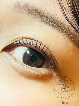 ブラン(Blanc)の写真/<待望のEyelashMenu導入>相談しながら自分らしい目元を演出！抜け感とこなれ感のある愛されトレンドeyeへ♪