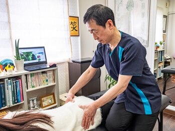 しあわせカイロプラクティックセンター/国際基準認定のハイレベルな施術