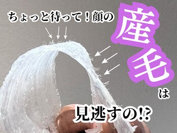 ホワイトワックス 京都四条烏丸(WHITE WAX)/《全顔》フェイシャルワックス