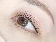 スワロウテイル(Swallowtail)