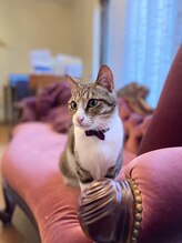 スウィートボディ(Sweetbody) 正部 ジロ