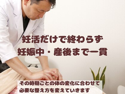 ウィズ(Wiz)の写真