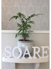 ＳＯＡＲＥ(スタッフ一同)