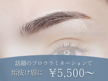 まつげエクステ専門店 ヴィーナスラッシュ 六本木店(Venus Lash)/【アイブロウ】