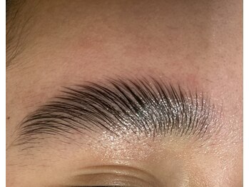 ワックスラボ(WAXLAB)/ハリウッドブロウリフト HBL