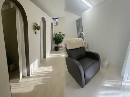 ミミ(MiMi)の写真