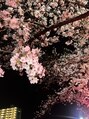 フルノーティス 横浜店(fl Notis)&nbsp;桜の季節が終わりそうですが、夜桜を見て来ました！