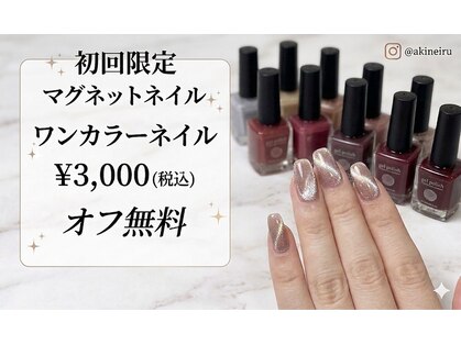 アキネイル(Akinail)の写真