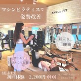 アネラフィット(ANELA Fit)