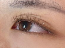 ウルカ アイラッシュ(uruka EYELASH)/フラットラッシュブラウン 120本