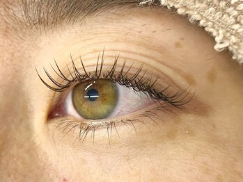 シャルム(Charme)/ブラウン　120本