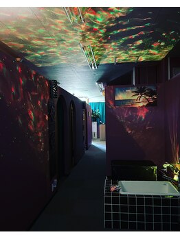 ロータス(LOTUS)/