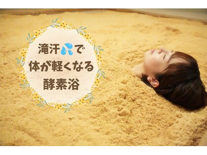 ミモザの写真