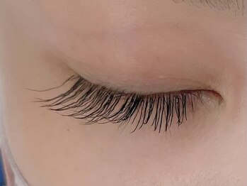 カラン 焼津店(CALIN)/フラットラッシュ120本