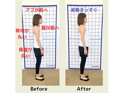 モビ(mobi)の写真