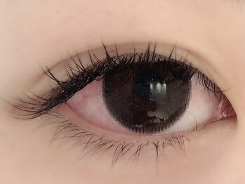 カラン 焼津店(CALIN)/フラットラッシュ120本