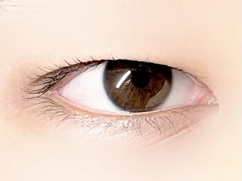 パキラ(Pachira)/メンズもOK☆彡