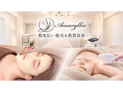 アマリリス(Amaryllis)の写真