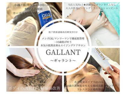 ギャラント(GALLANT)の写真