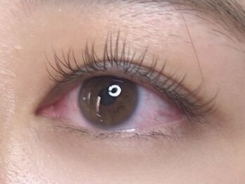 ウルカ アイラッシュ(uruka EYELASH)/フラットラッシュブラウン 100本